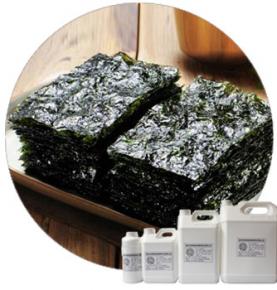 Seaweed Seasoning Powder