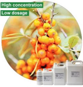 Sea Buckthorn Flavour 