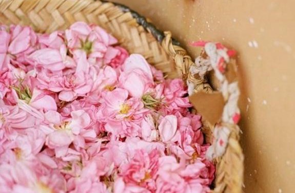 Nigeria undiluted perfume oil