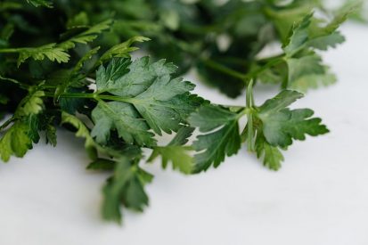 parsley-on-white-background.jpg